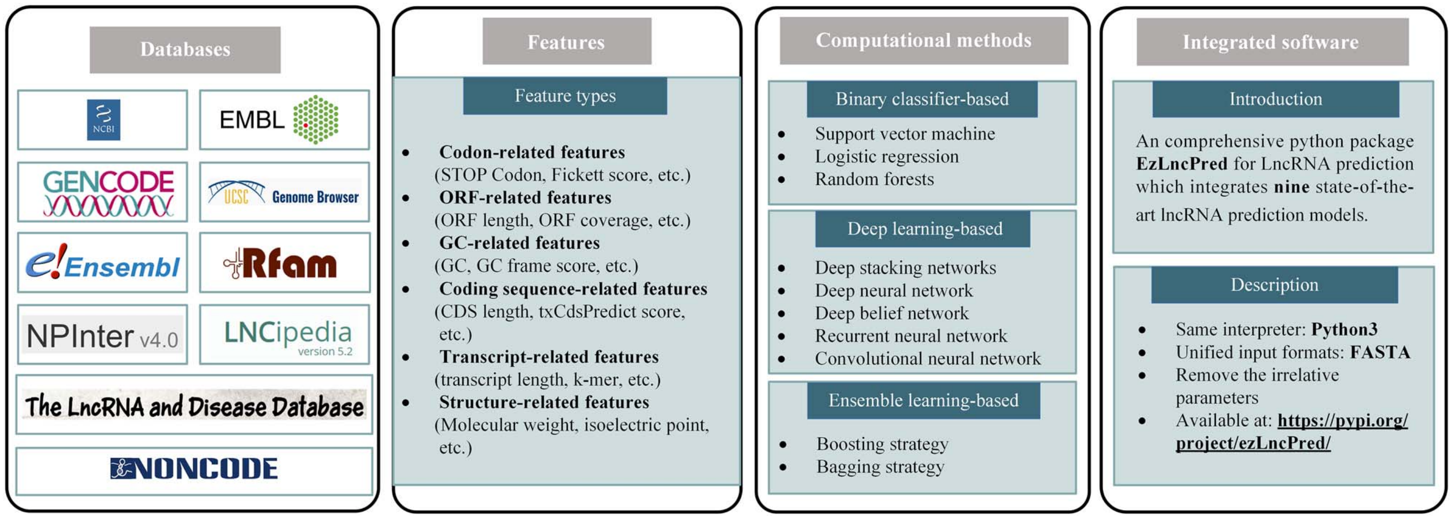 Review-LncRNA.png